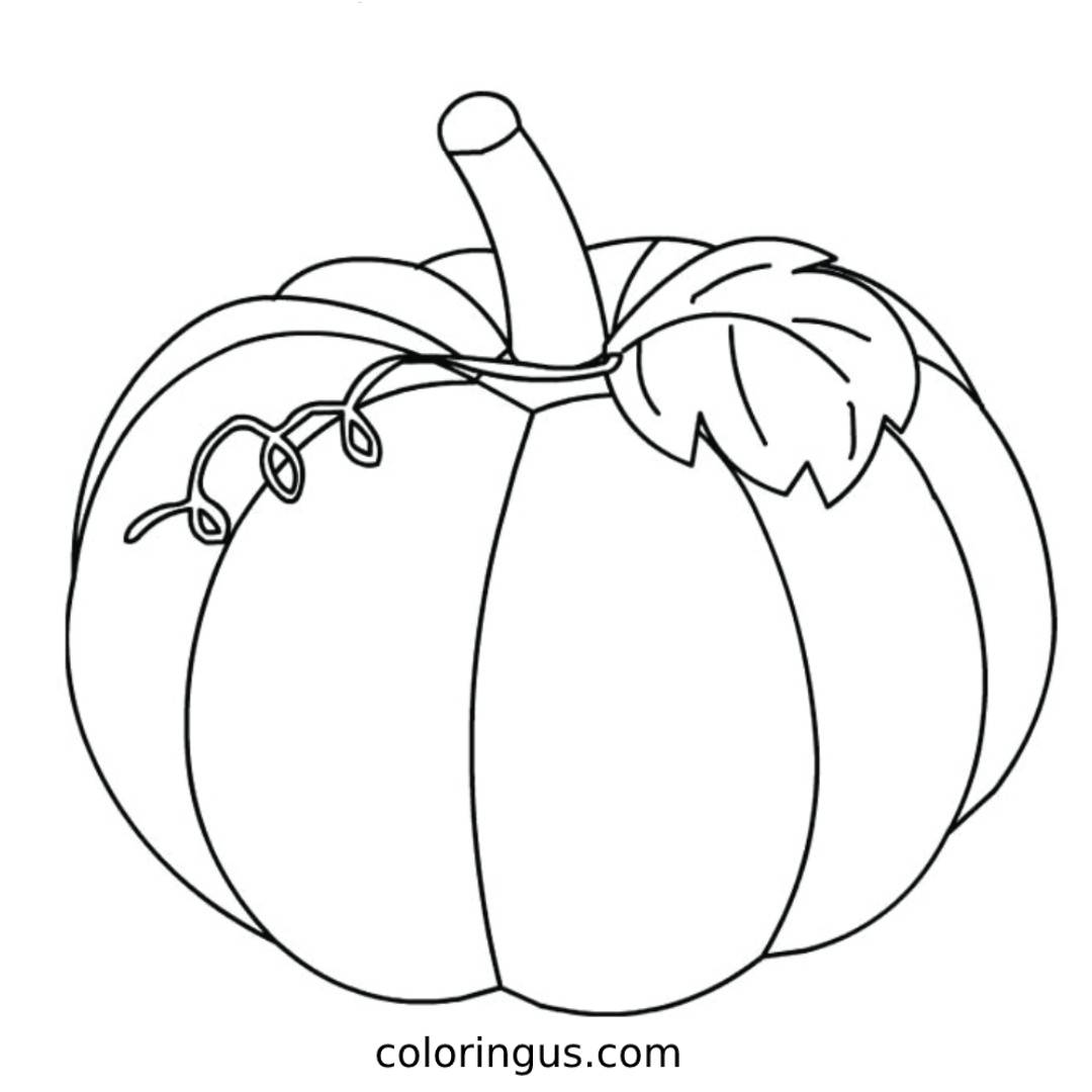 Pumpkin Coloring Pages Kids Halloween Printable Outline Pumpkins Vine Pumpkin Coloring Pages Kids Halloween Printable Outline Pumpkins Vine