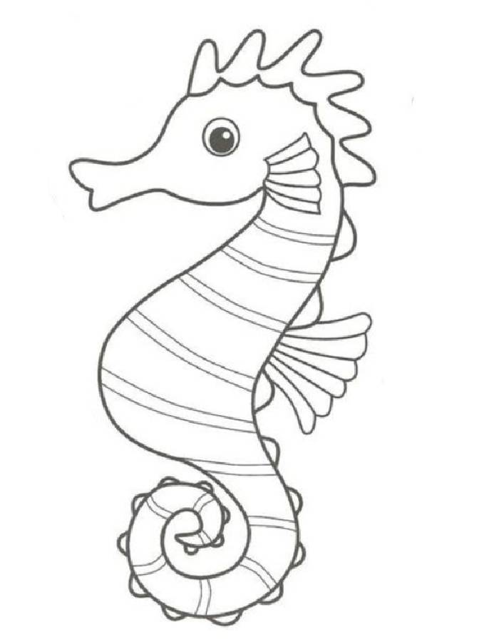 Cute seahorse