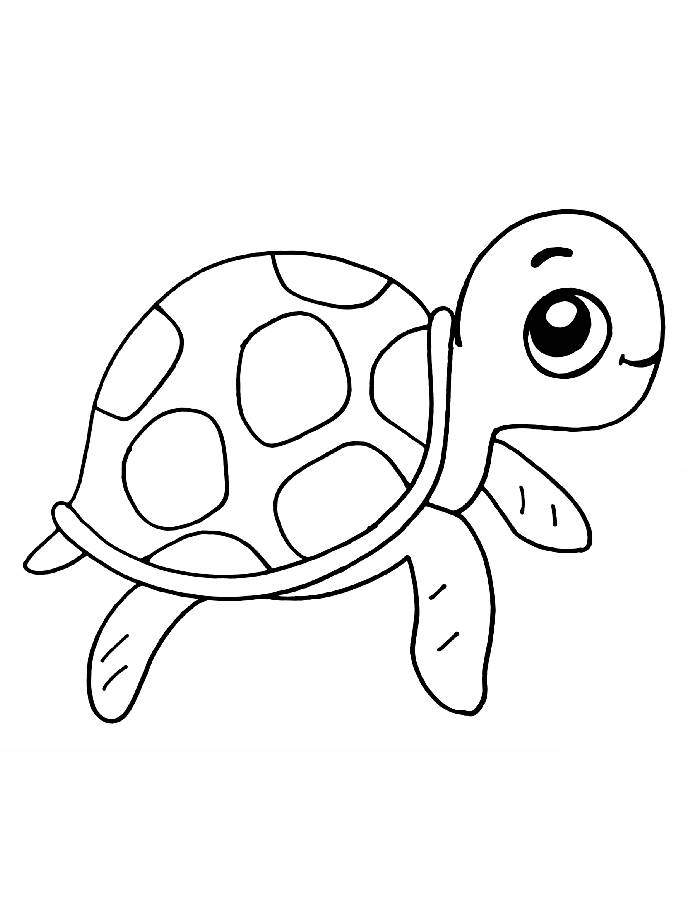 Cute Tortoise Drawing