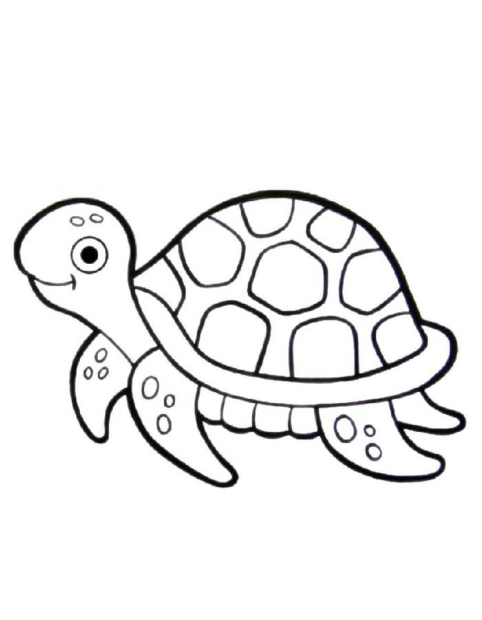 Turtle Coloring Pages (Free Printable PDF)