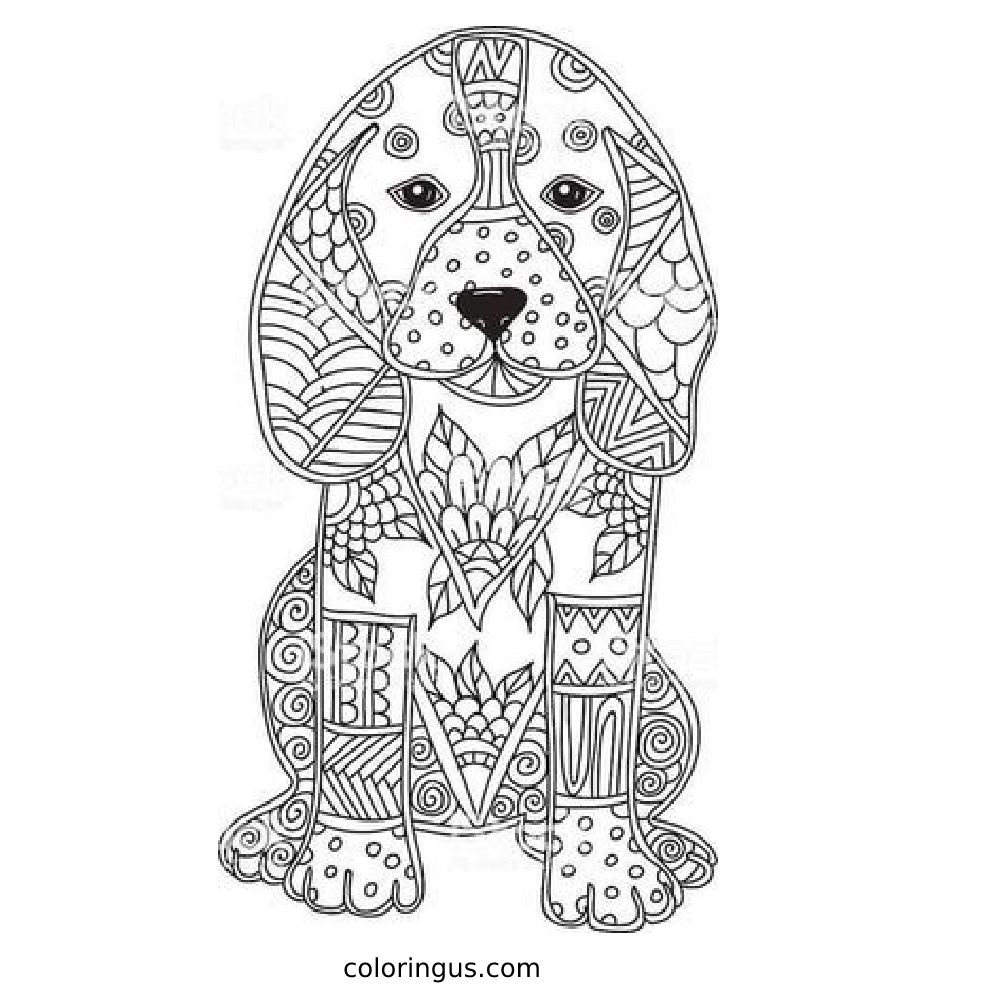 Detailed  coloring page