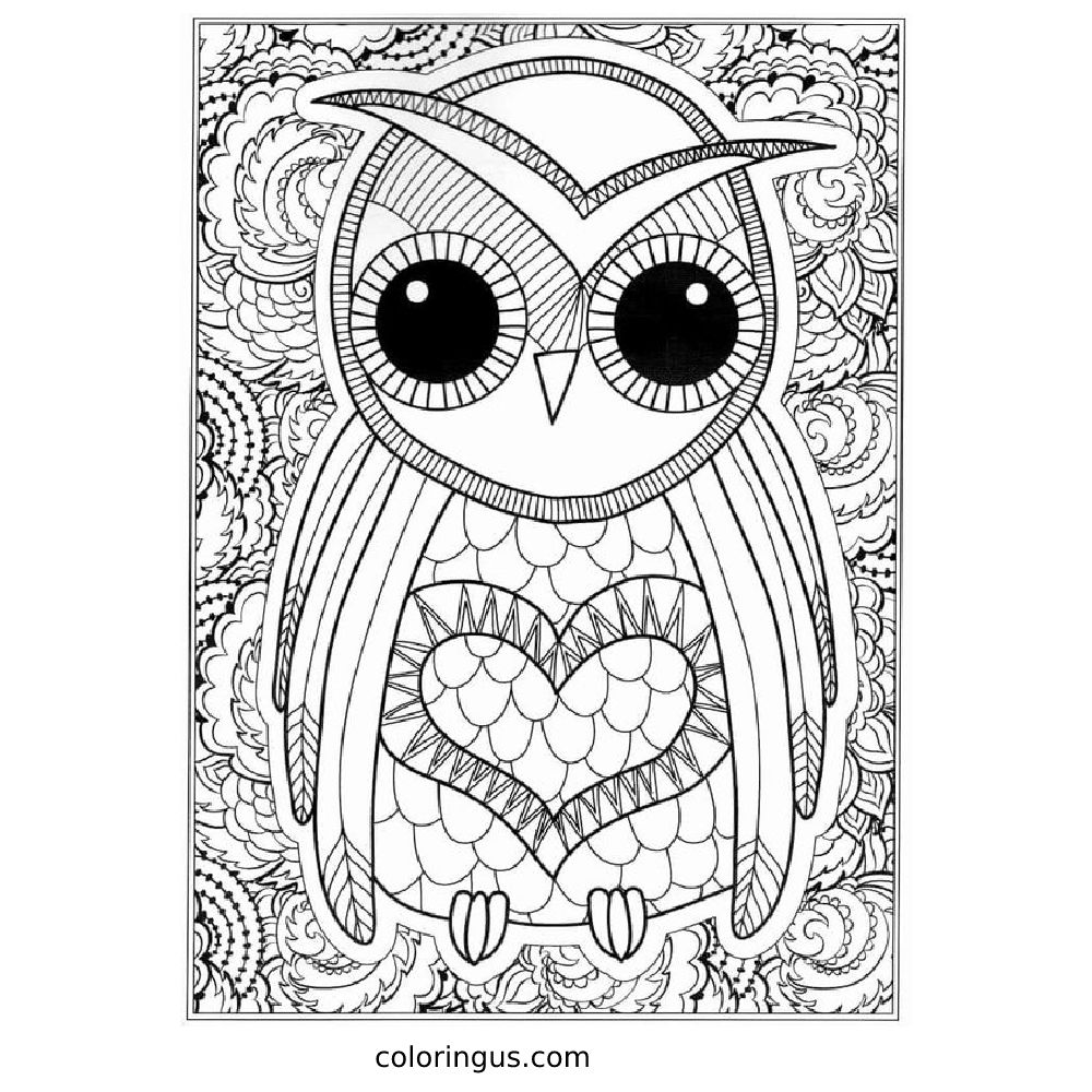 Detailed owl