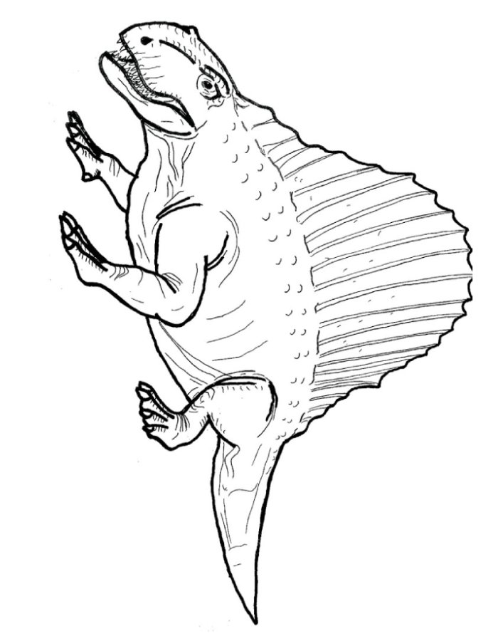 Dimetrodon Coloring Page