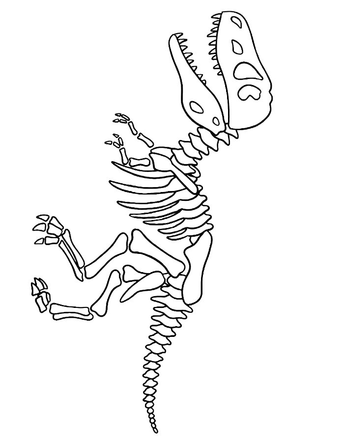 Dinosaur Bone Coloring Page