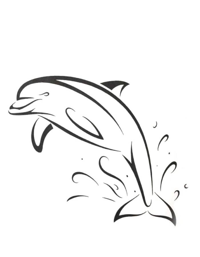 Dolphin Free Printable Coloring Page