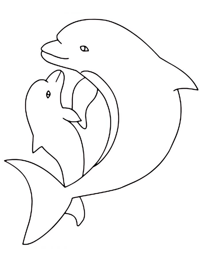 Dolphin Mama And Baby Coloring Page