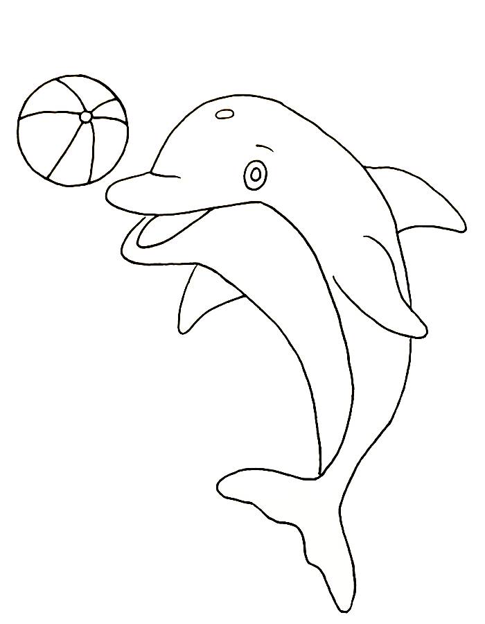 Dolphin Playing With Ball Coloring Page