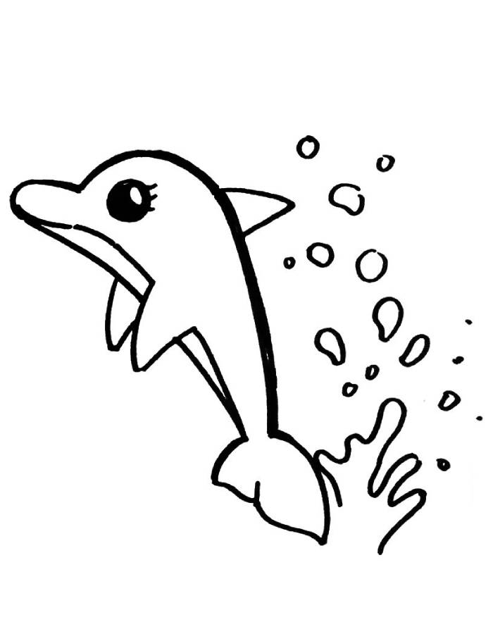 Dolphin Printable Pictures Coloring Page