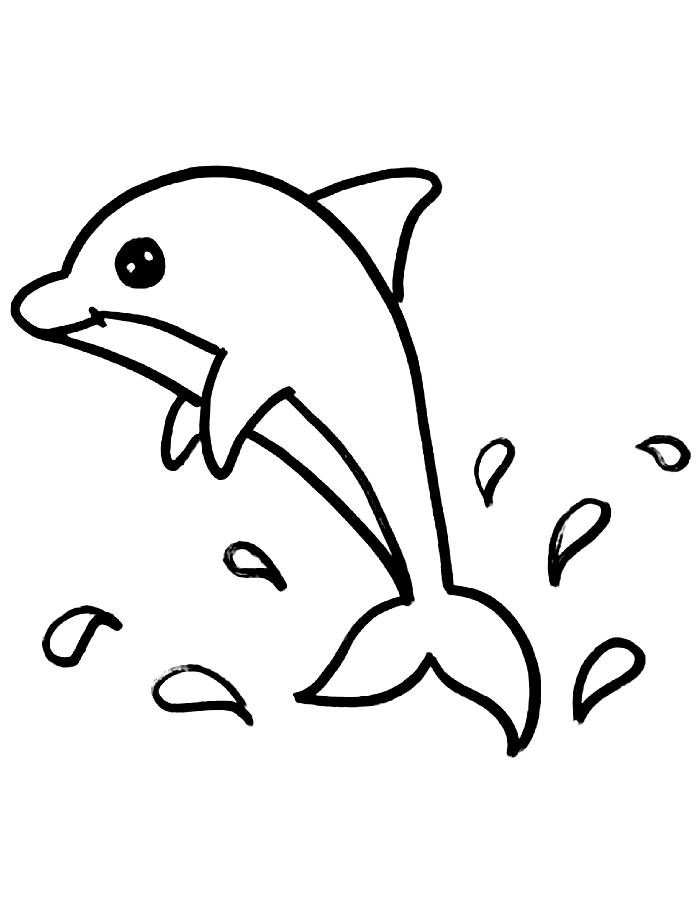 Dolphin To Print Coloring Page