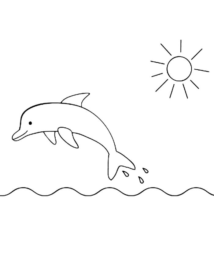 Dolphins Swimming In The Sea Coloring Page