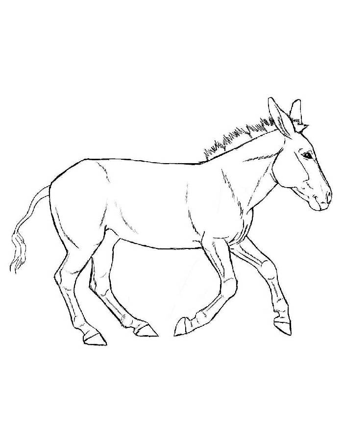 Donkey Coloring Page