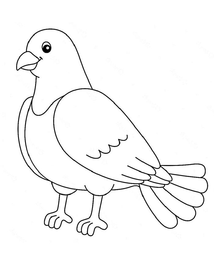 Dove Bird Drawing Coloring Page