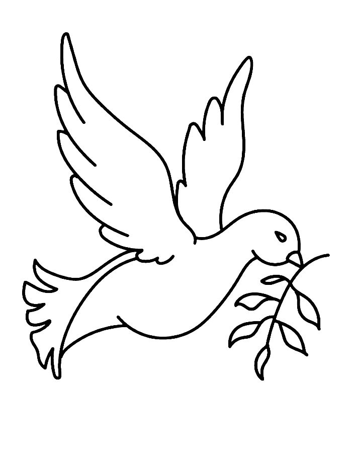 Dove For Toddlers Coloring Page