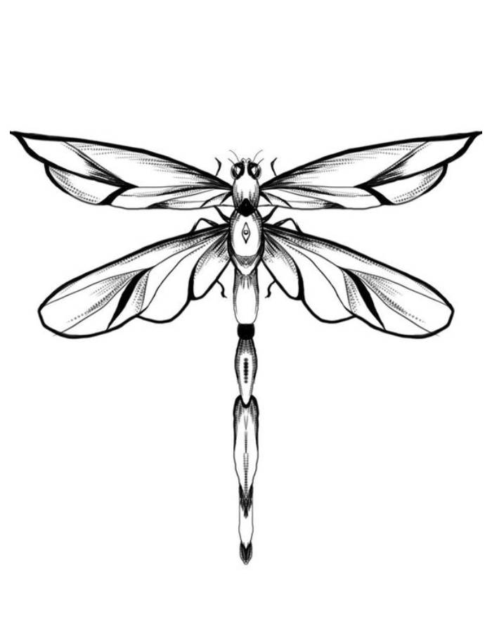 Dragonfly Drawing Simple Coloring Page