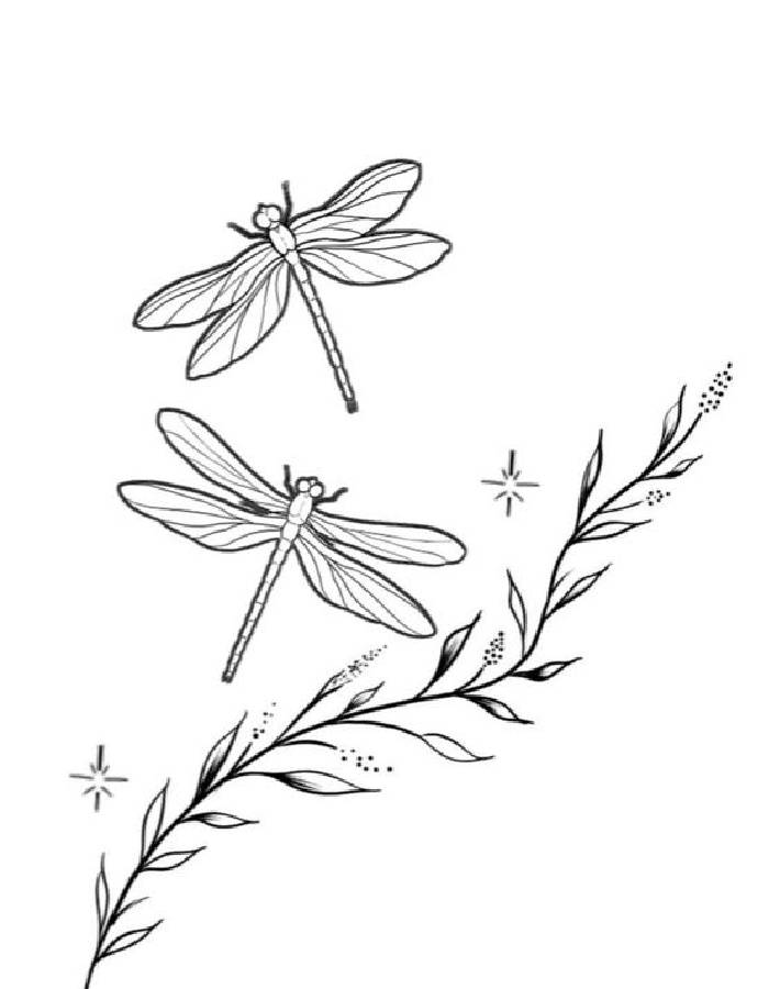 Dragonfly Images Coloring Page