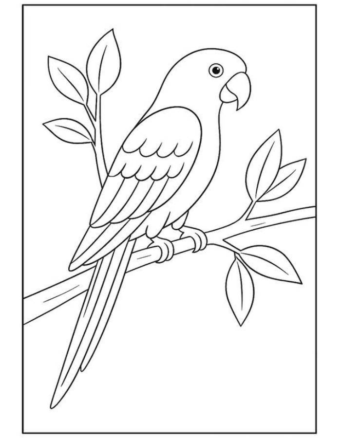Drawing Coloring Page