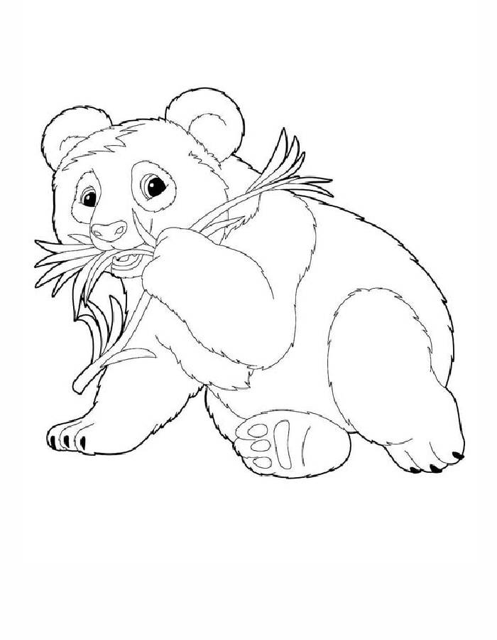 Drawing Of A Panda Food Coloring Page