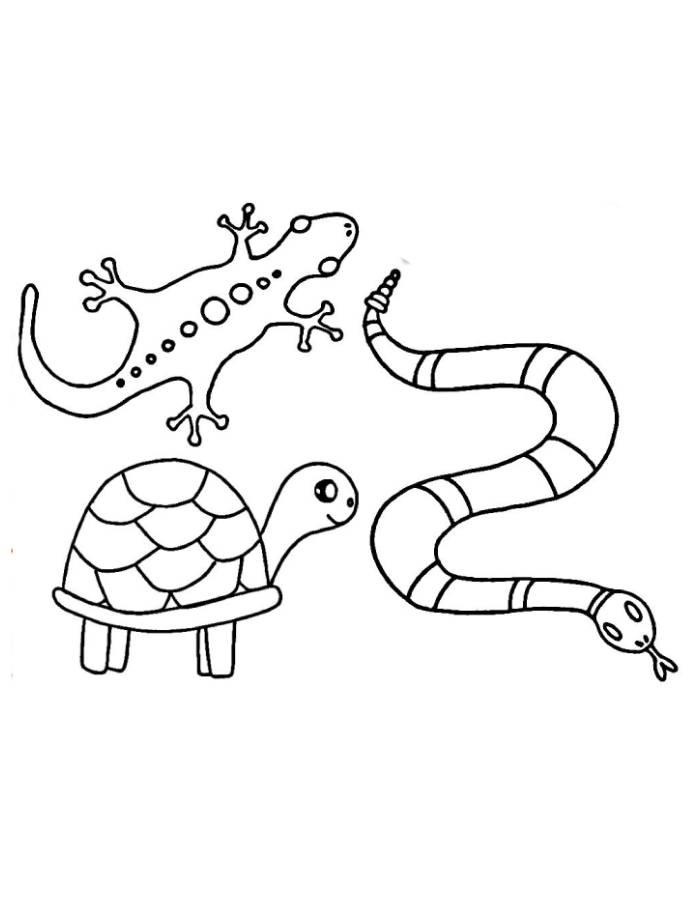 Drawing Reptiles Easy Coloring Page