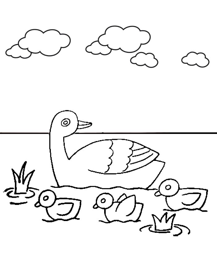 Duck And Duckling Scenery Duck And Duckling Scenery Coloring Page