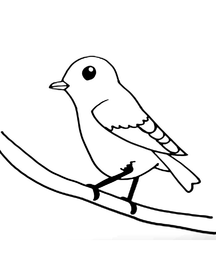 Eastern Bluebird Coloring Page