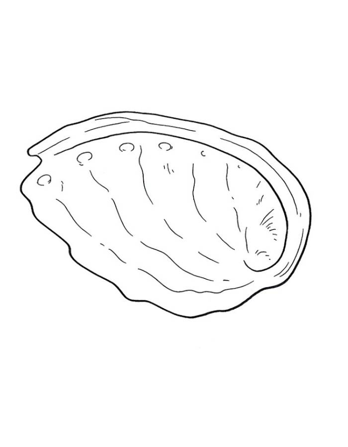 Easy Abalone Drawing Coloring Page