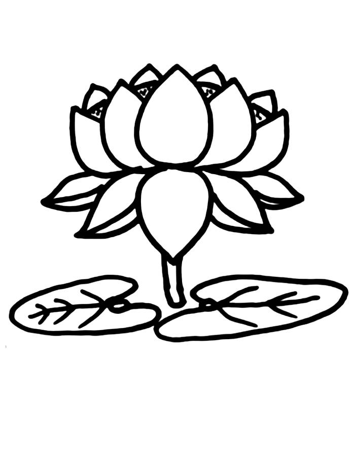 Easy And Simple Lotus Drawing Coloring Page