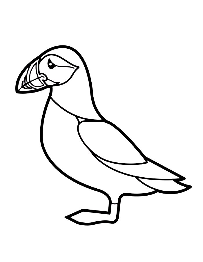 Easy And Simple Puffin  Coloring Page