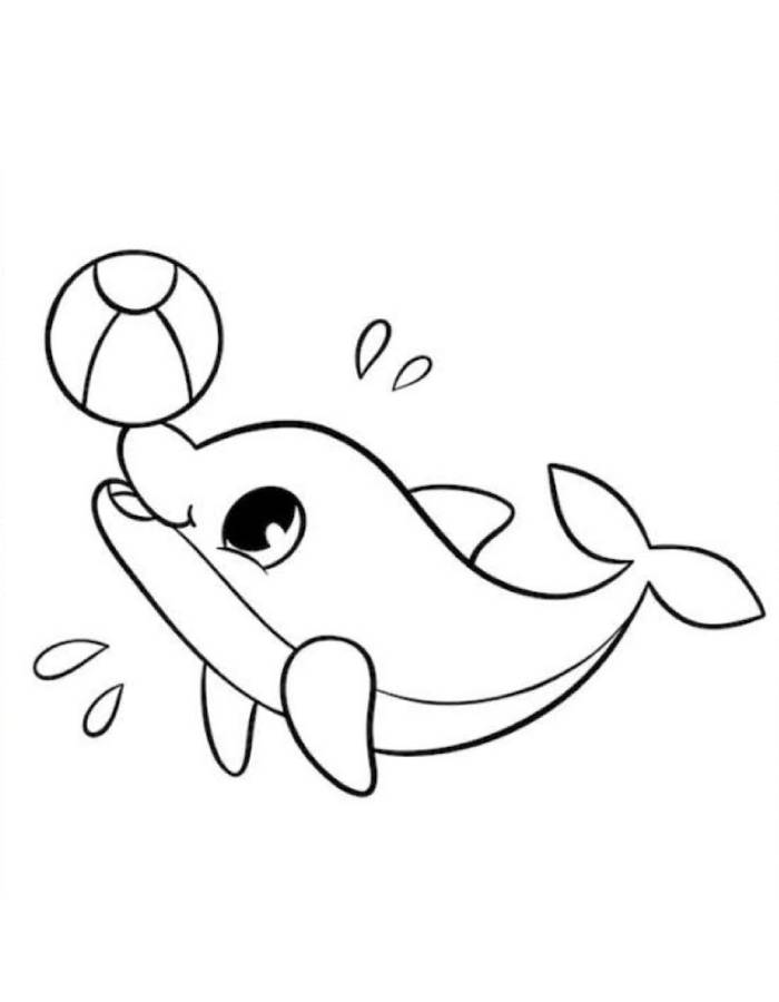 Easy Dolphin Fish Drawing Coloring Page