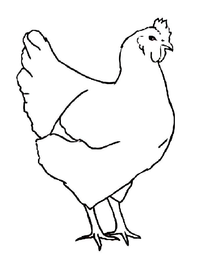 Chicken Coloring Pages - Free Printable Sheets