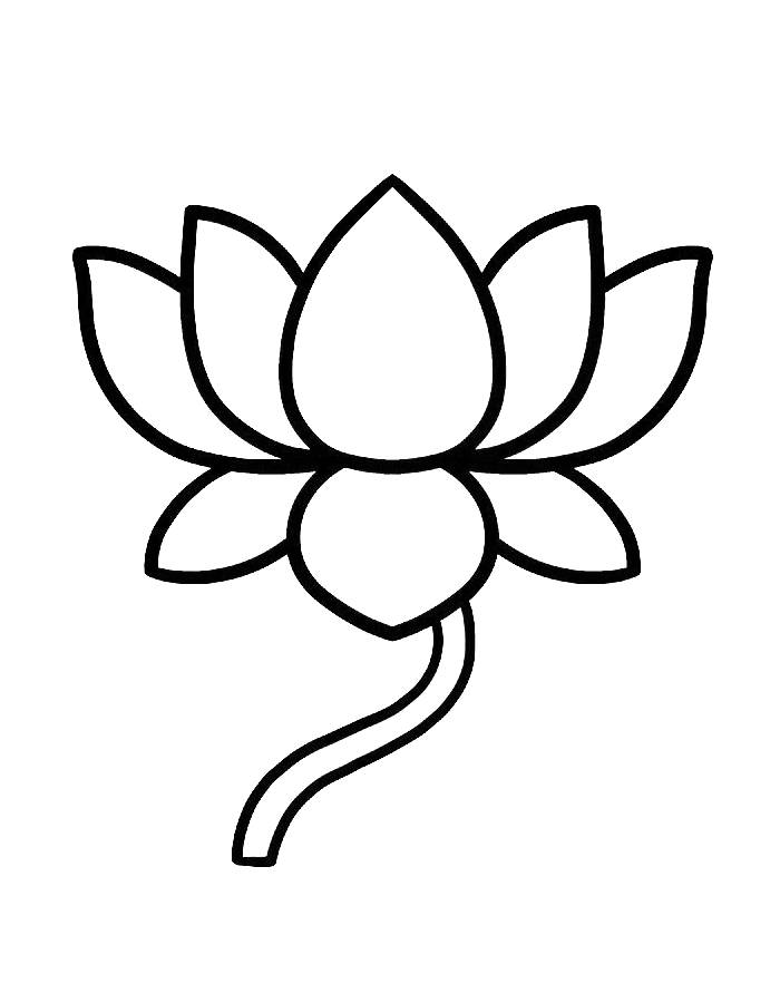 Easy Lotus  For Kids Coloring Page