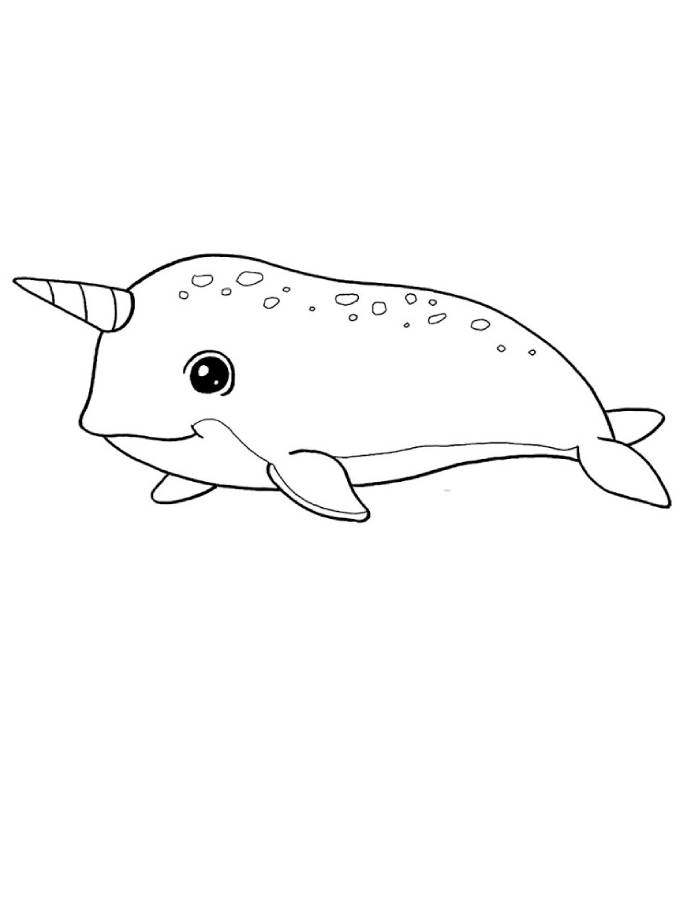 Easy Narwhal Drawing Coloring Page