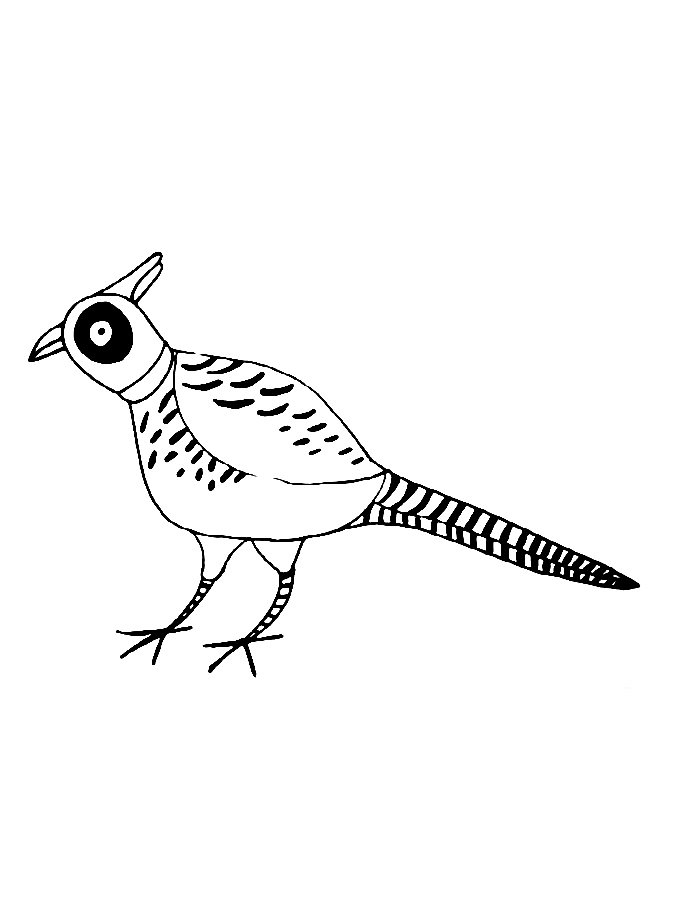 Easy Pheasant Coloring Page