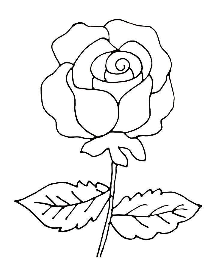 Easy Rose Drawing Coloring Page