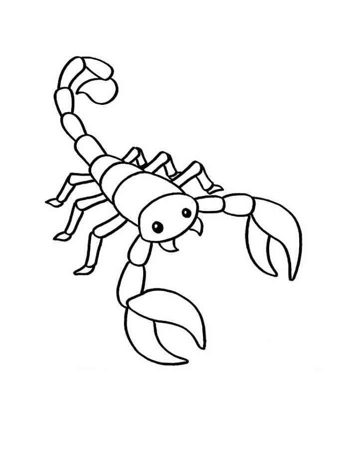 Easy Scorpion Printable Outline