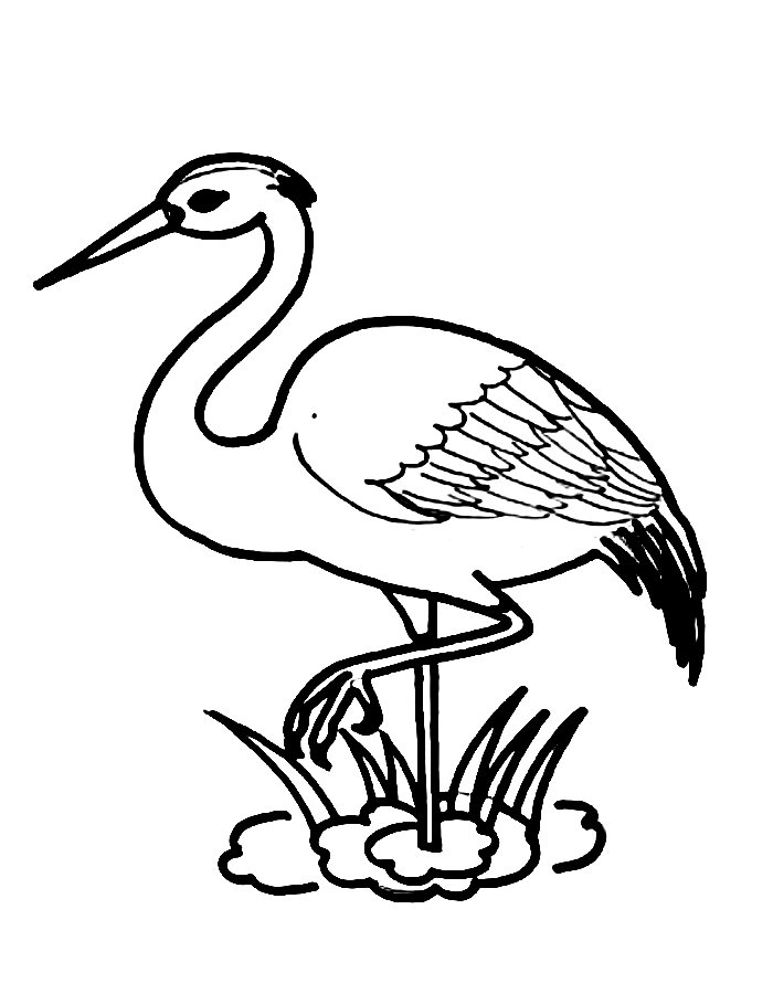 Egret Coloring Page