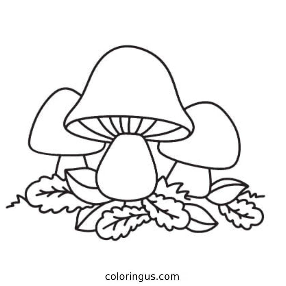 Beautiful Transition To Fall Coloring Page