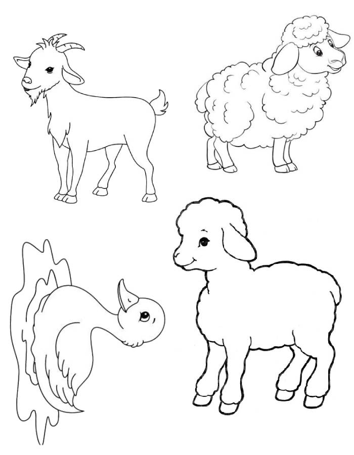 Farm animals  coloring page