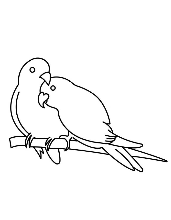 February Lovebirds