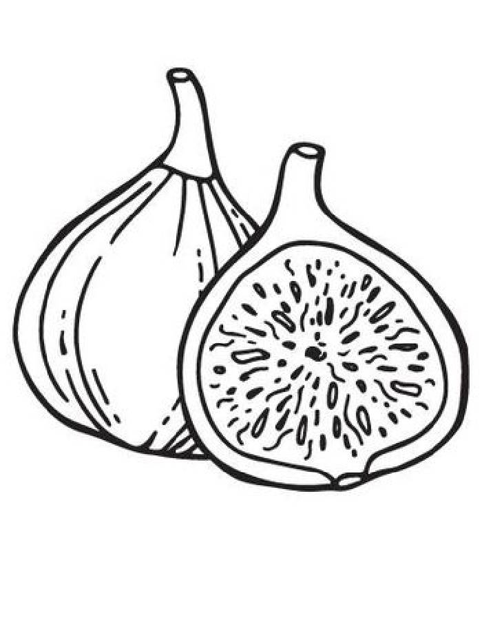 Fig coloring page