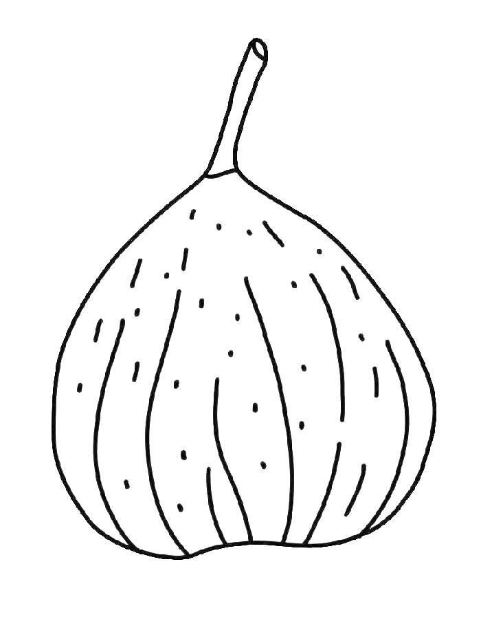 Fig Fruit Clipart Coloring Page