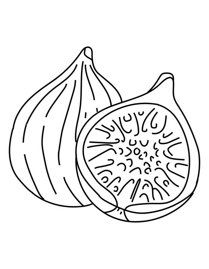 Fig Fruit Outline Coloring Page