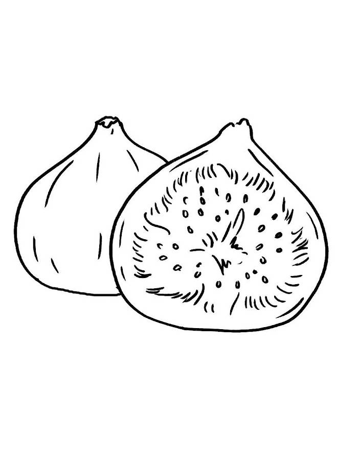 Fig Fruits Drawing Coloring Page