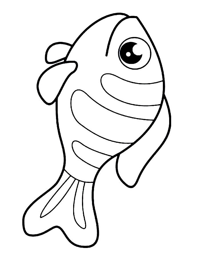 Fish Images Coloring Page