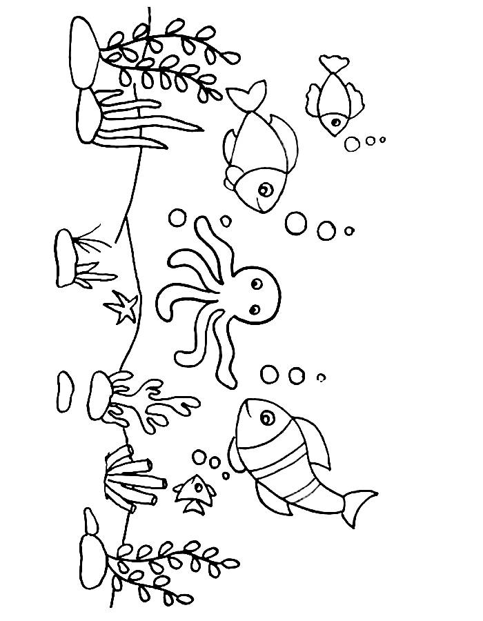 Fish Ocean Coloring Page