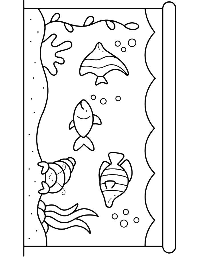 Fish Tank Coloring Page