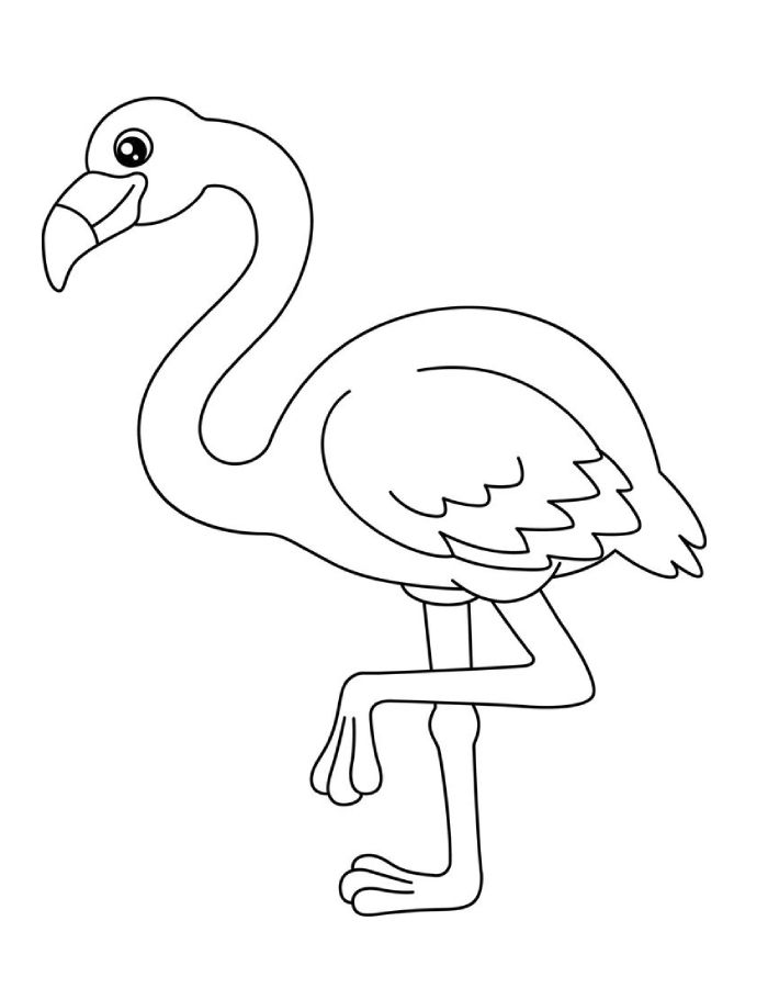 Flamingo Images Coloring Page