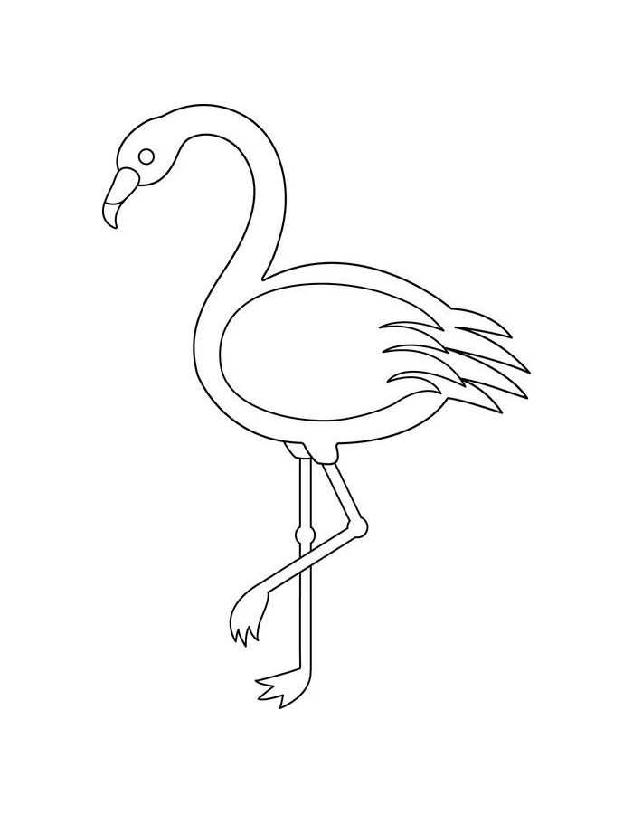 Flamingo Picture To Color Coloring Page