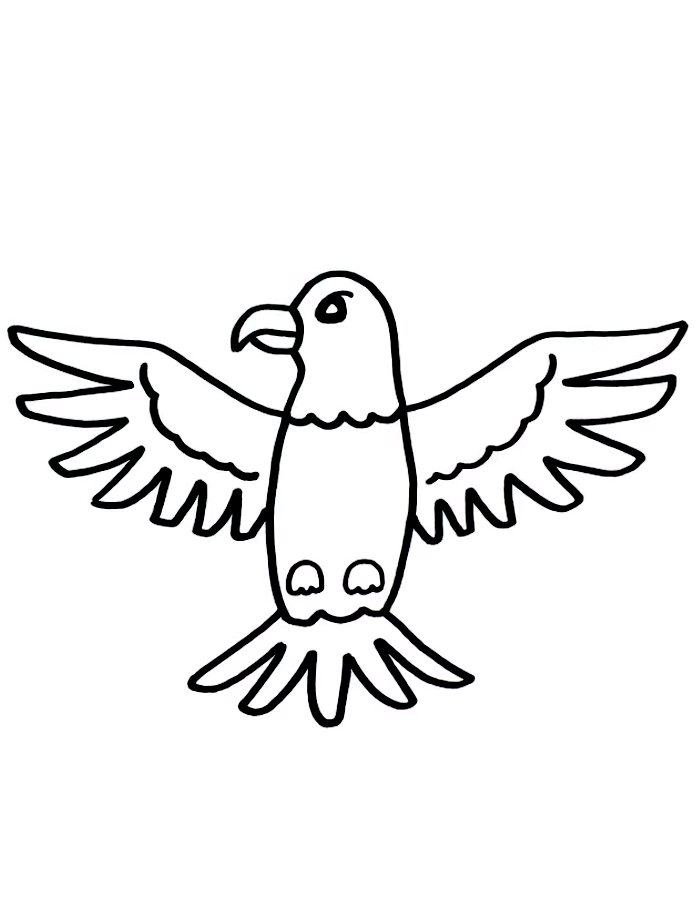 Flying Falcon Coloring Page