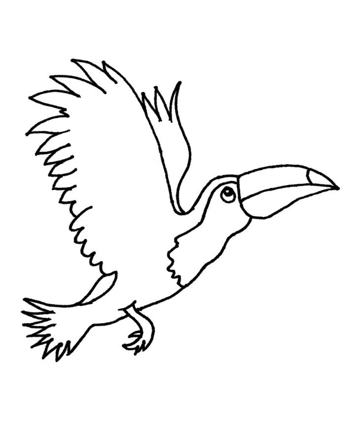 Flying Toucan Coloring Page