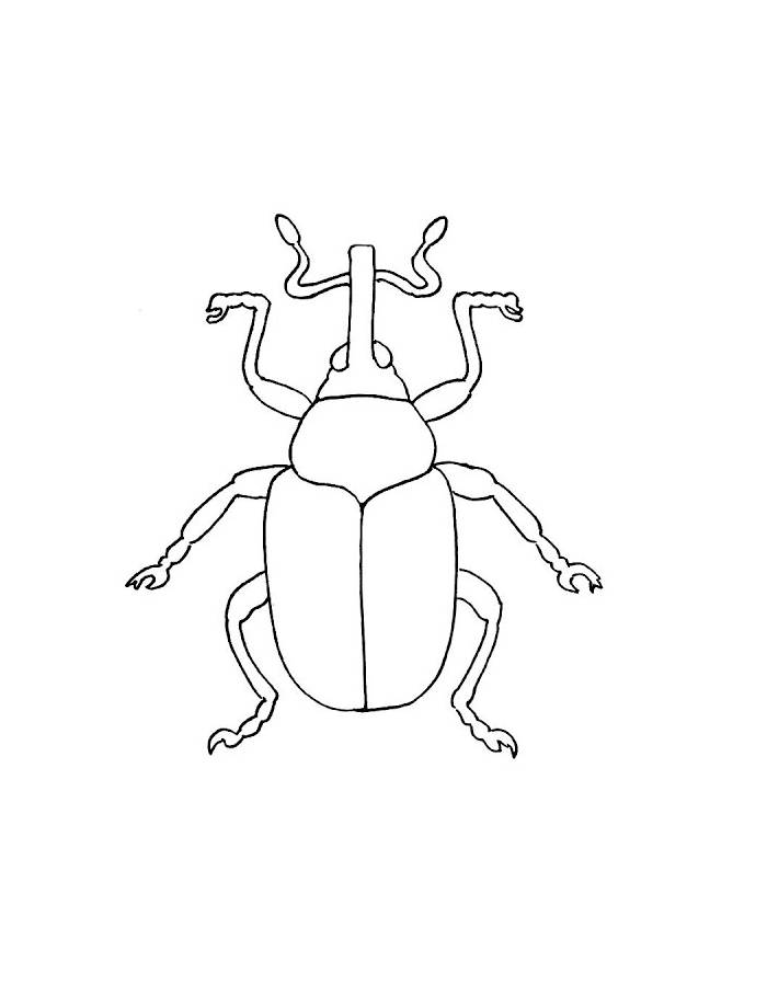 Forest Beetles Coloring Page